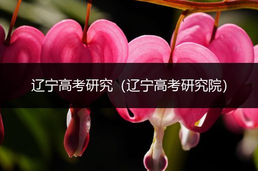 辽宁高考研究（辽宁高考研究院）