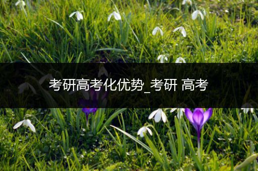 考研高考化优势_考研 高考