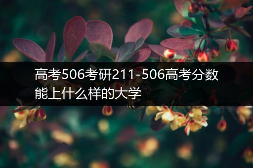 高考506考研211-506高考分数能上什么样的大学