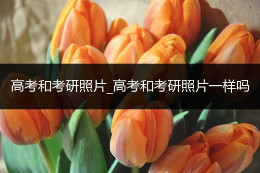 高考和考研照片_高考和考研照片一样吗