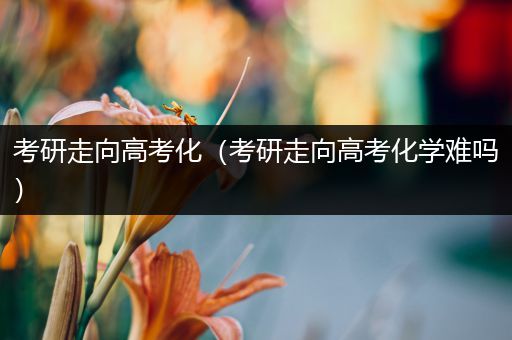 考研走向高考化（考研走向高考化学难吗）