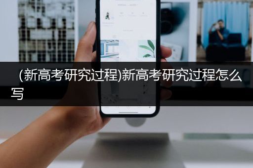 （新高考研究过程)新高考研究过程怎么写