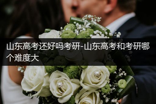 山东高考还好吗考研-山东高考和考研哪个难度大