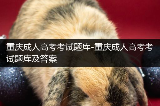 重庆成人高考考试题库-重庆成人高考考试题库及答案