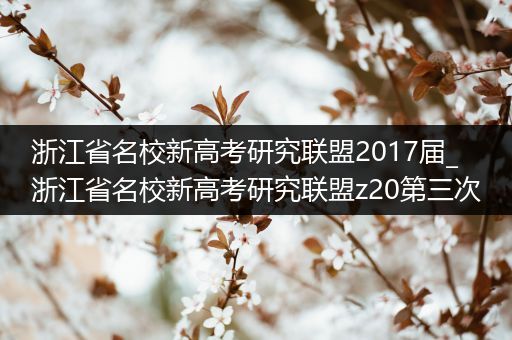 浙江省名校新高考研究联盟2017届_浙江省名校新高考研究联盟z20第三次