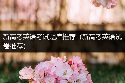 新高考英语考试题库推荐（新高考英语试卷推荐）