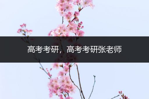 高考考研，高考考研张老师
