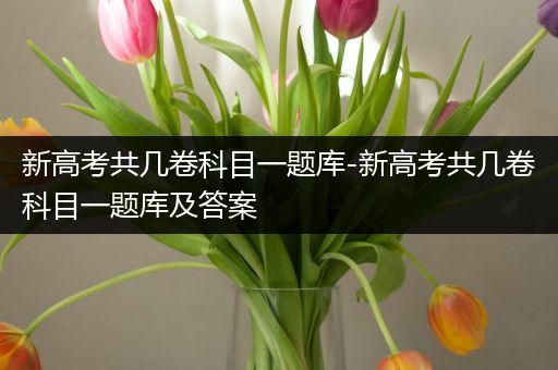 新高考共几卷科目一题库-新高考共几卷科目一题库及答案