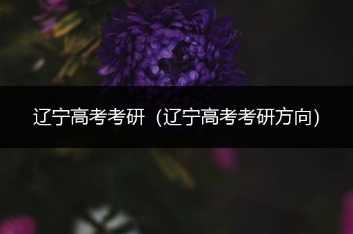 辽宁高考考研（辽宁高考考研方向）