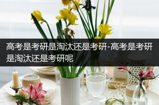 高考是考研是淘汰还是考研-高考是考研是淘汰还是考研呢
