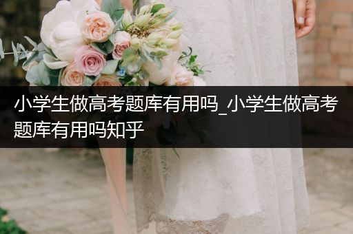 小学生做高考题库有用吗_小学生做高考题库有用吗知乎
