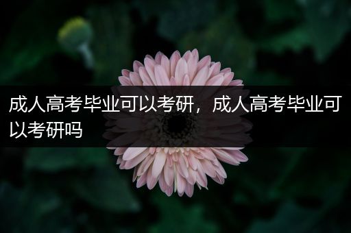 成人高考毕业可以考研，成人高考毕业可以考研吗