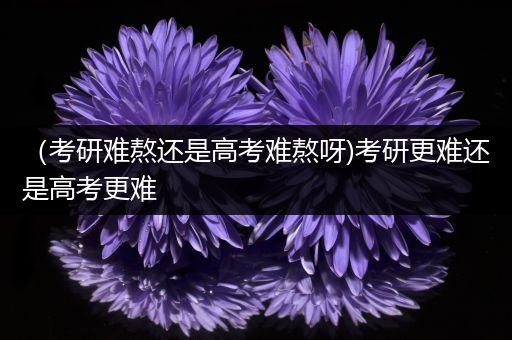 （考研难熬还是高考难熬呀)考研更难还是高考更难