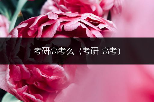 考研高考么（考研 高考）