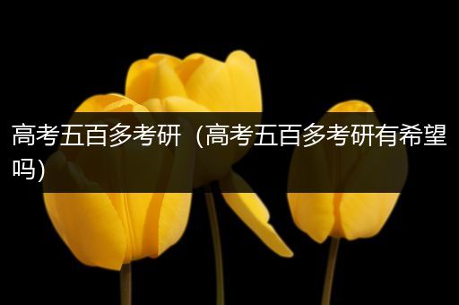 高考五百多考研（高考五百多考研有希望吗）