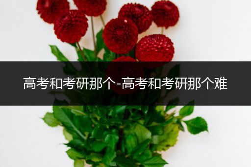 高考和考研那个-高考和考研那个难