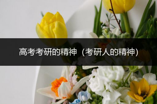 高考考研的精神（考研人的精神）