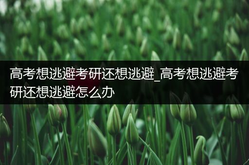 高考想逃避考研还想逃避_高考想逃避考研还想逃避怎么办