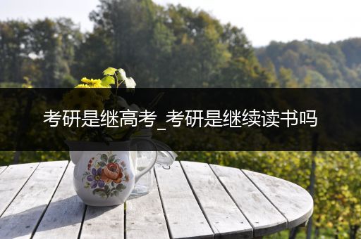 考研是继高考_考研是继续读书吗