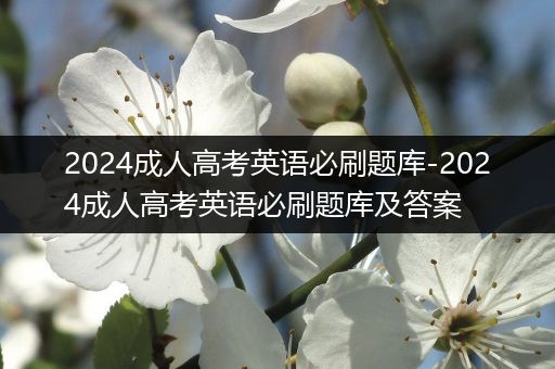 2024成人高考英语必刷题库-2024成人高考英语必刷题库及答案