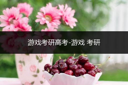 游戏考研高考-游戏 考研