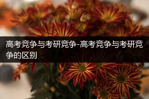 高考竞争与考研竞争-高考竞争与考研竞争的区别