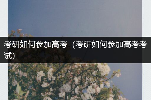 考研如何参加高考（考研如何参加高考考试）