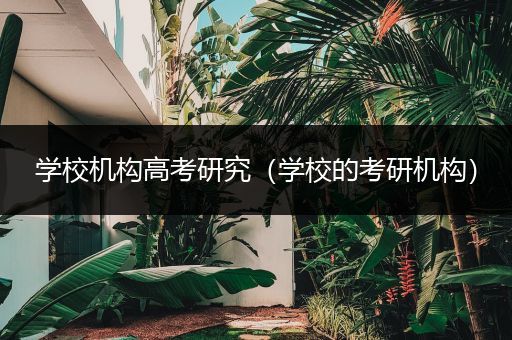 学校机构高考研究（学校的考研机构）