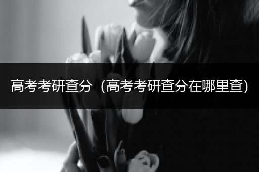 高考考研查分（高考考研查分在哪里查）