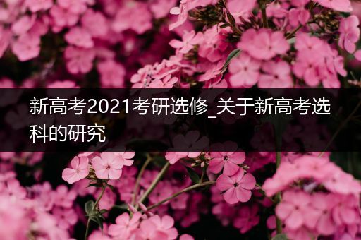 新高考2021考研选修_关于新高考选科的研究