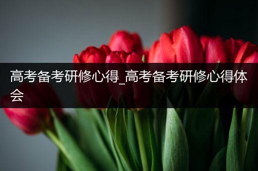 高考备考研修心得_高考备考研修心得体会