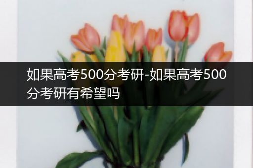 如果高考500分考研-如果高考500分考研有希望吗