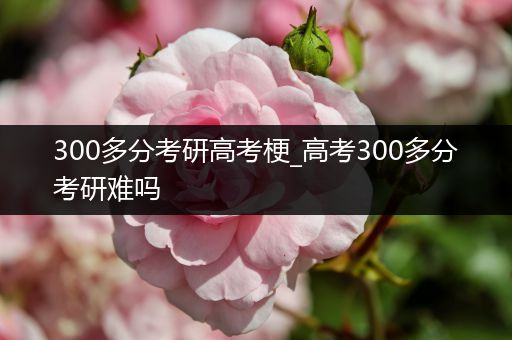 300多分考研高考梗_高考300多分考研难吗