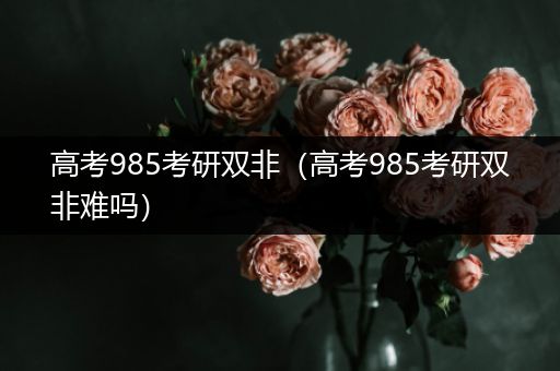 高考985考研双非（高考985考研双非难吗）