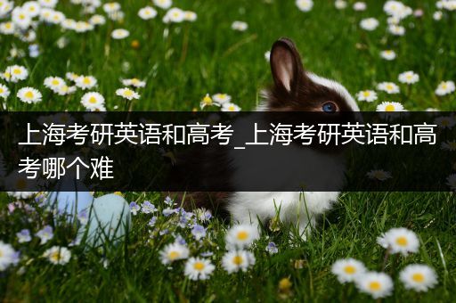 上海考研英语和高考_上海考研英语和高考哪个难