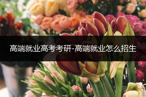 高端就业高考考研-高端就业怎么招生