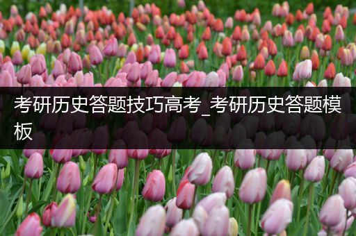 考研历史答题技巧高考_考研历史答题模板
