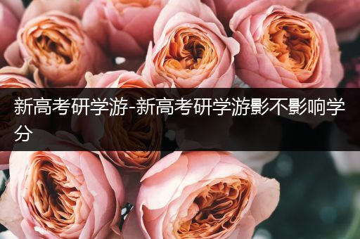 新高考研学游-新高考研学游影不影响学分