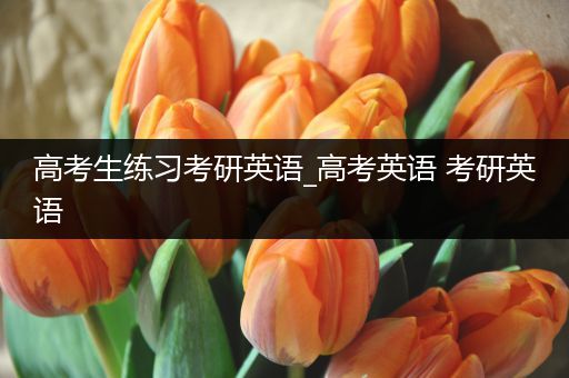 高考生练习考研英语_高考英语 考研英语