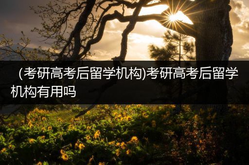 （考研高考后留学机构)考研高考后留学机构有用吗