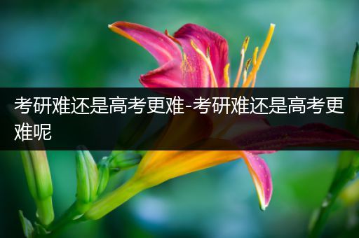 考研难还是高考更难-考研难还是高考更难呢