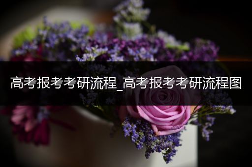 高考报考考研流程_高考报考考研流程图