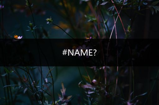 #NAME?