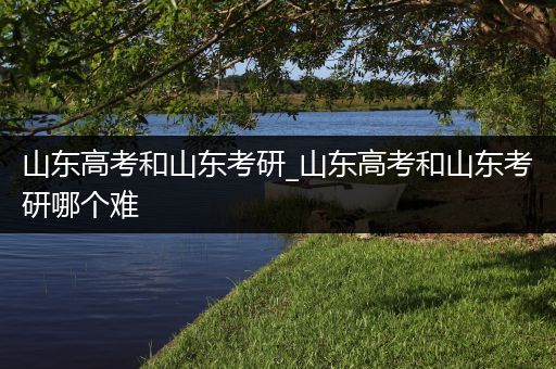 山东高考和山东考研_山东高考和山东考研哪个难