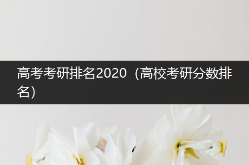 高考考研排名2020（高校考研分数排名）