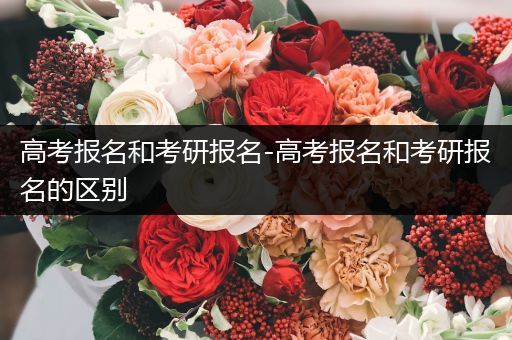 高考报名和考研报名-高考报名和考研报名的区别