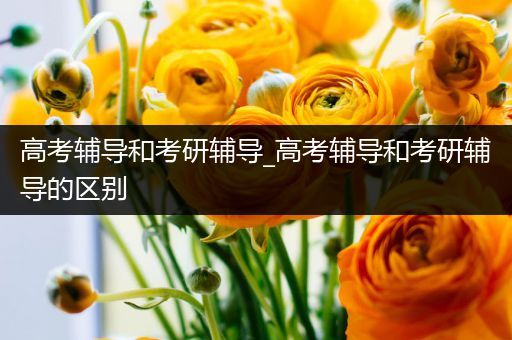 高考辅导和考研辅导_高考辅导和考研辅导的区别