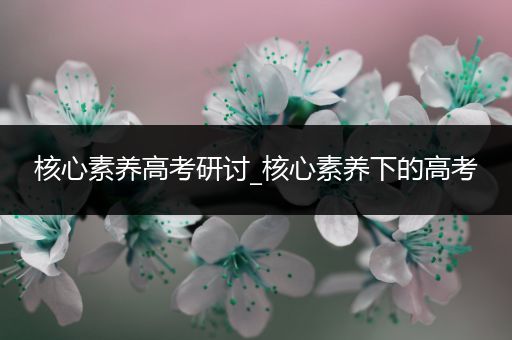核心素养高考研讨_核心素养下的高考