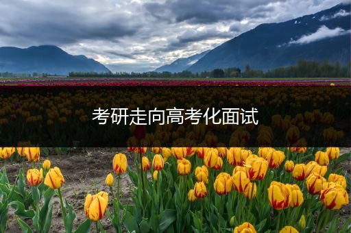 考研走向高考化面试