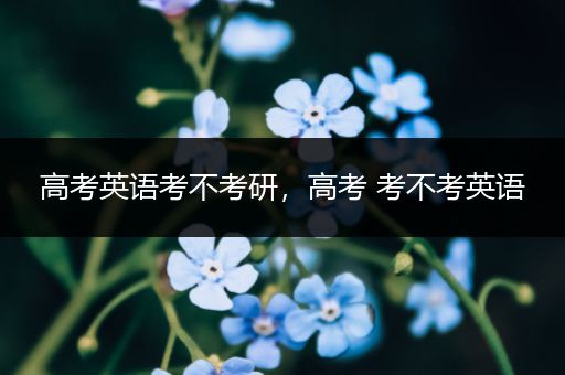 高考英语考不考研，高考 考不考英语